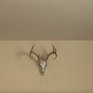 Sparkling Silver and Brown Deer Skull Wall Art